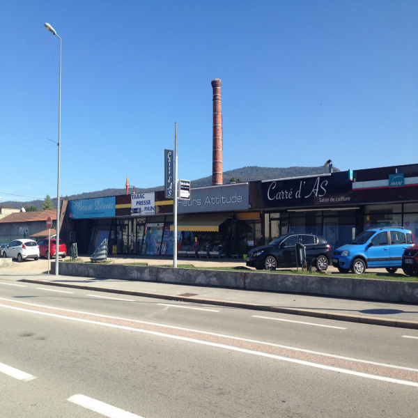 Vente Immobilier Professionnel Local commercial Oyonnax 01100